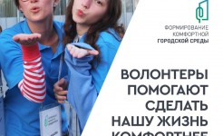 Волонтёры рядом: голосуем вместе за новый облик региона