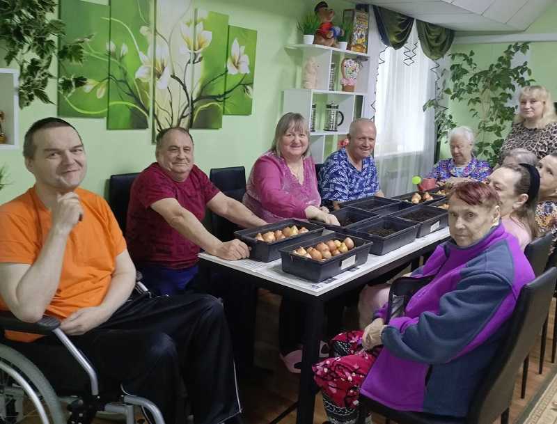 Свежая зелень на окне