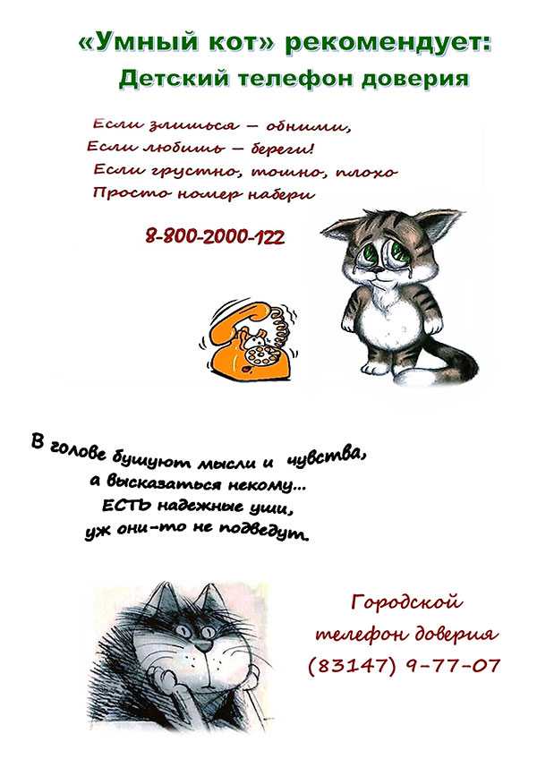 Умный кот рекомендует…