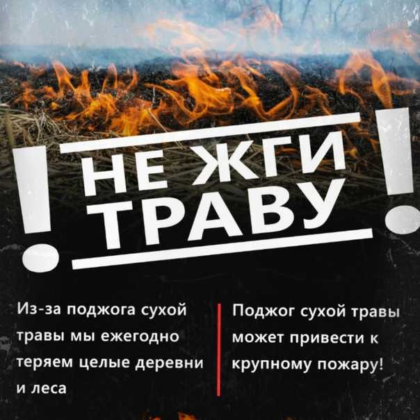 «Не жгите траву»