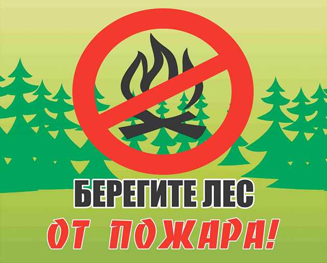 «Нужно уважать и оберегать природу!»