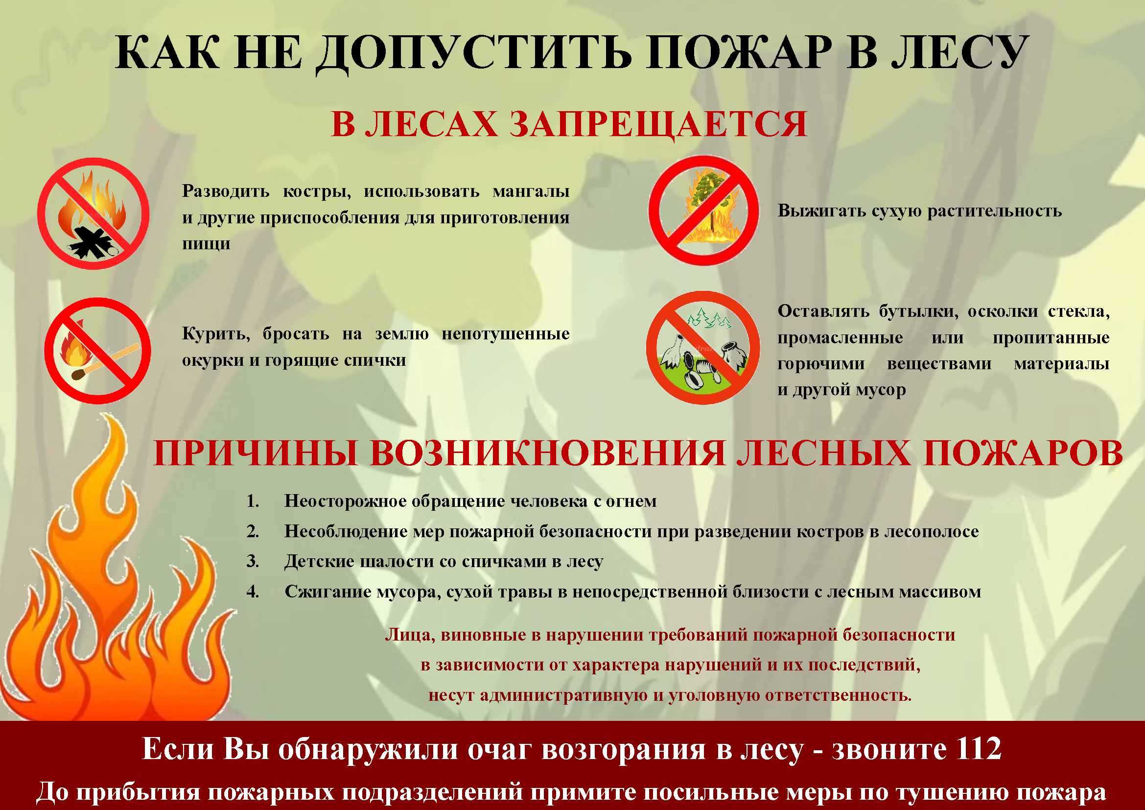 Берегите лес каждую минуту