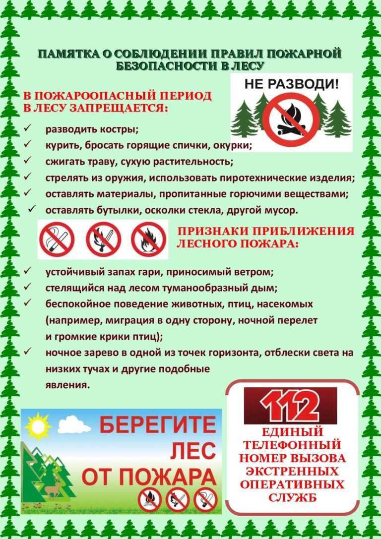 Берегите лес от огня