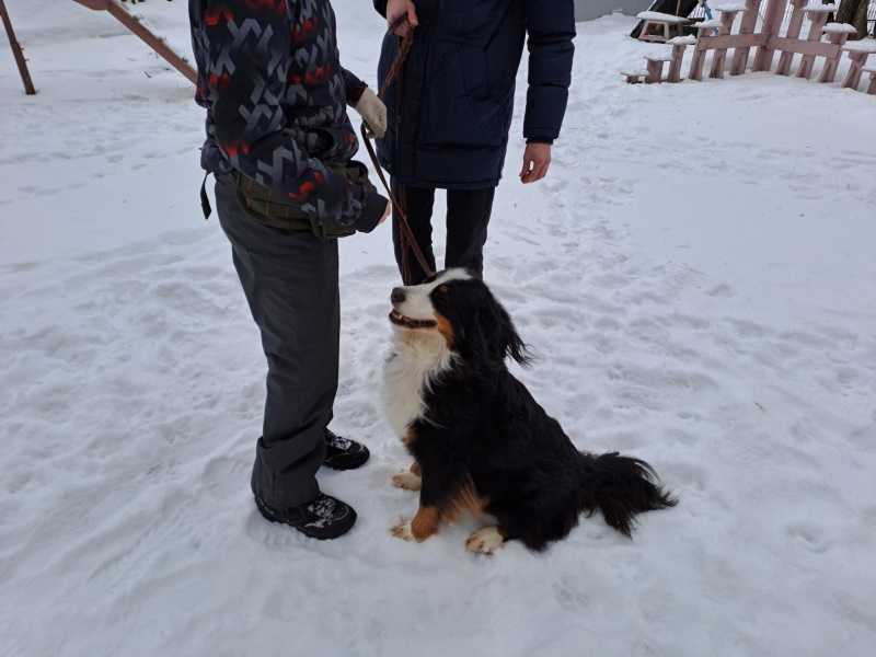 Мы сможем всё – ведь мы – семья!