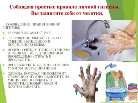 Специалисты рекомендуют
