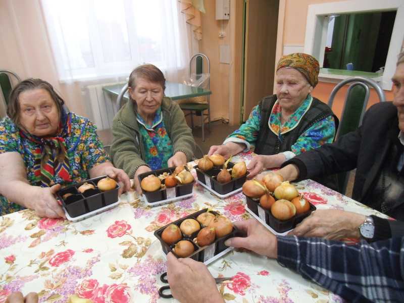 Лучок сажаем - витамины получаем!!!