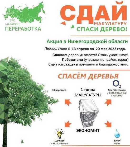 Сдай макулатуру – спаси дерево!
