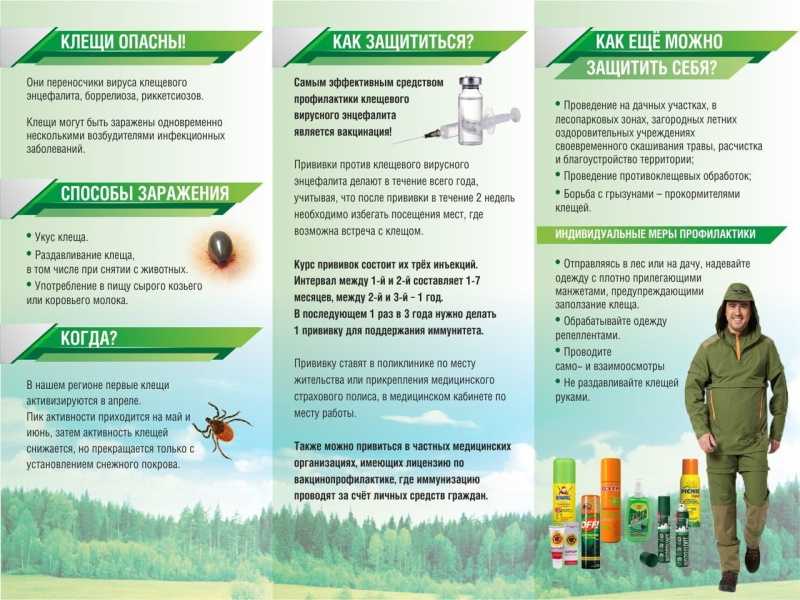 Информирование получателей социальных услуг по иммунизации от клещей. «Дифтерия», «Столбняк».
