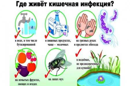 Беседа: 
