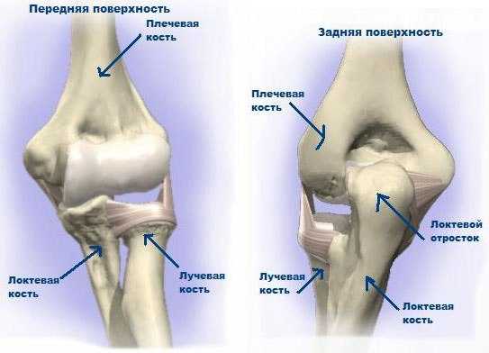Методика самомассаж локтевого сустава