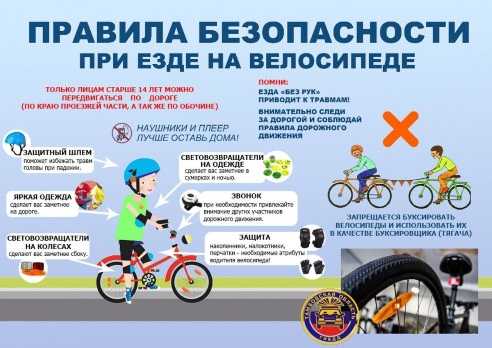 Чем полезна езда на велосипеде?