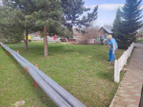Зеленая весна