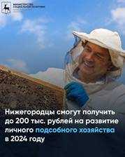 Новые правила предоставления государственной помощи по механизму социального контракта