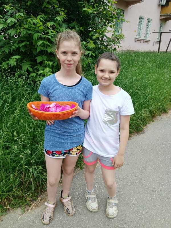 Собираем лекарственные травы для витаминного чая