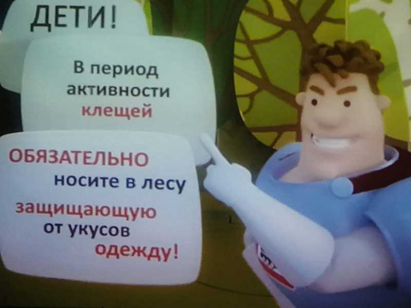 Осторожно, клещи!