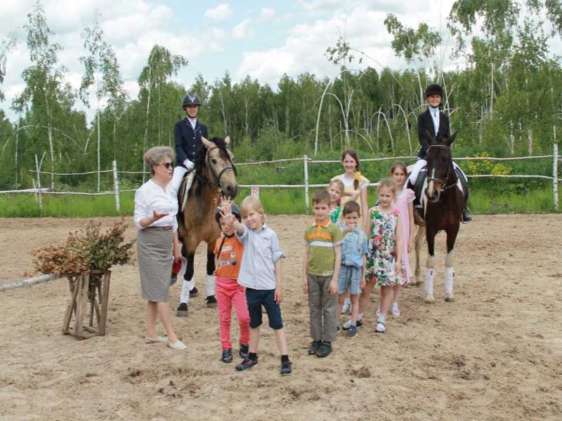 Конный клуб «Dream Horse»