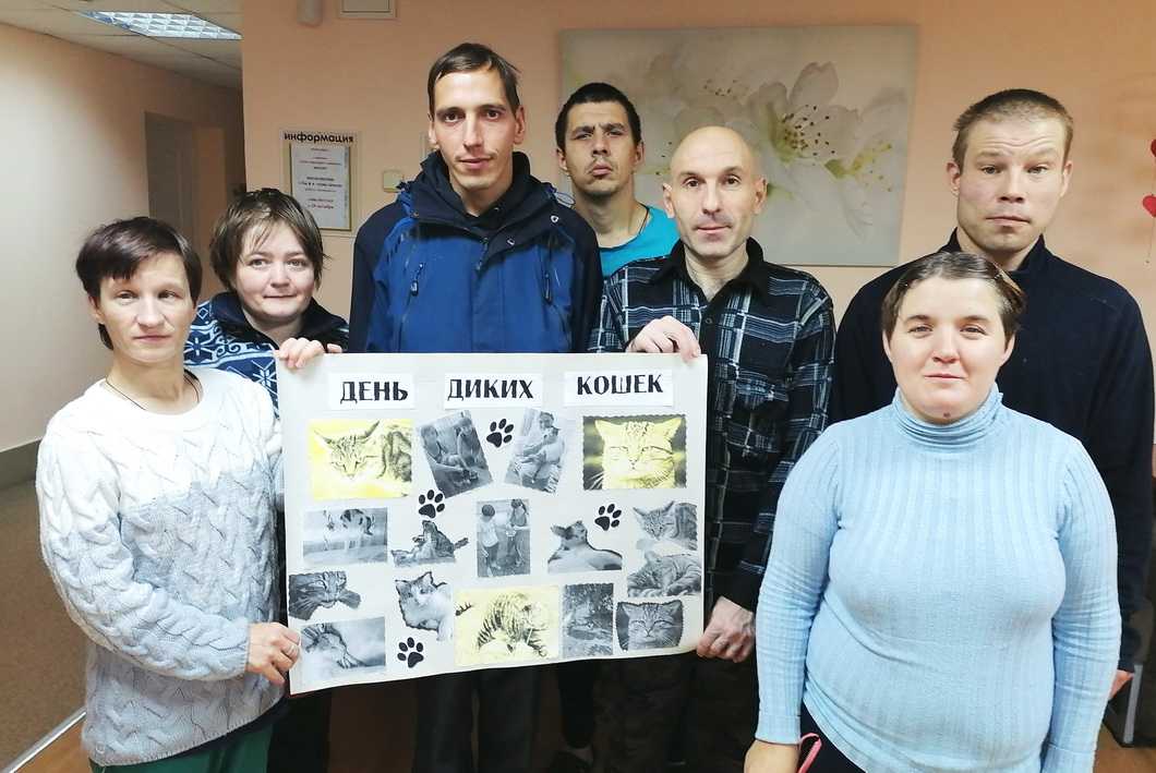 «День диких кошек»