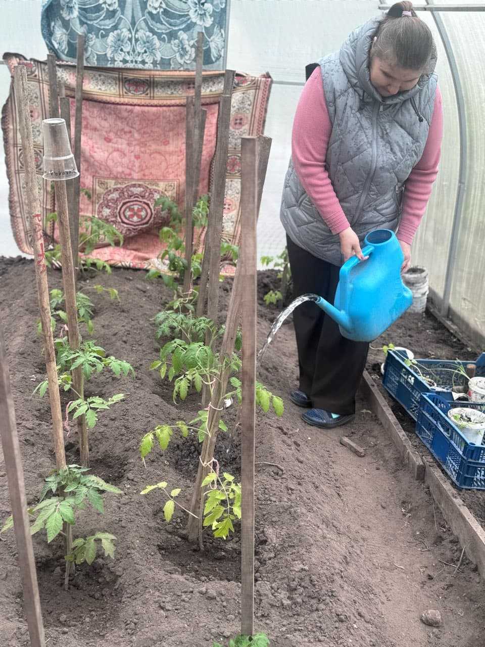 Посадочные работы