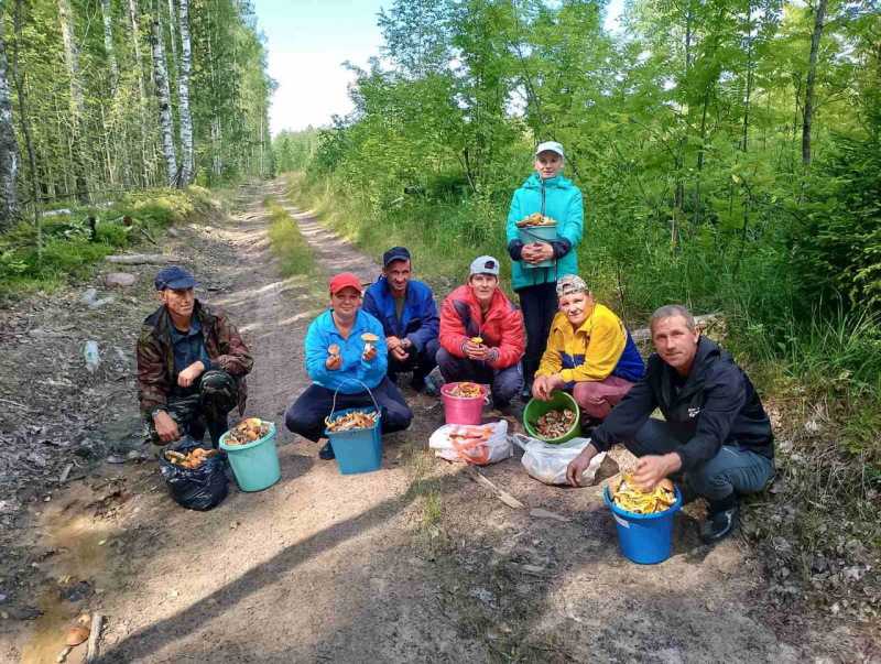 Поход за грибами