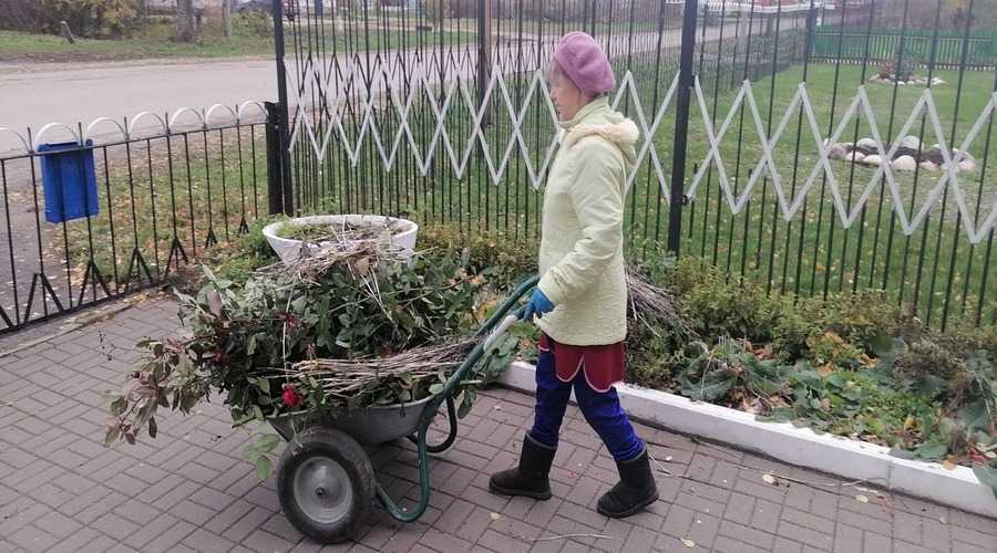 Подготовка  к зиме прилегающей территории Учреждения