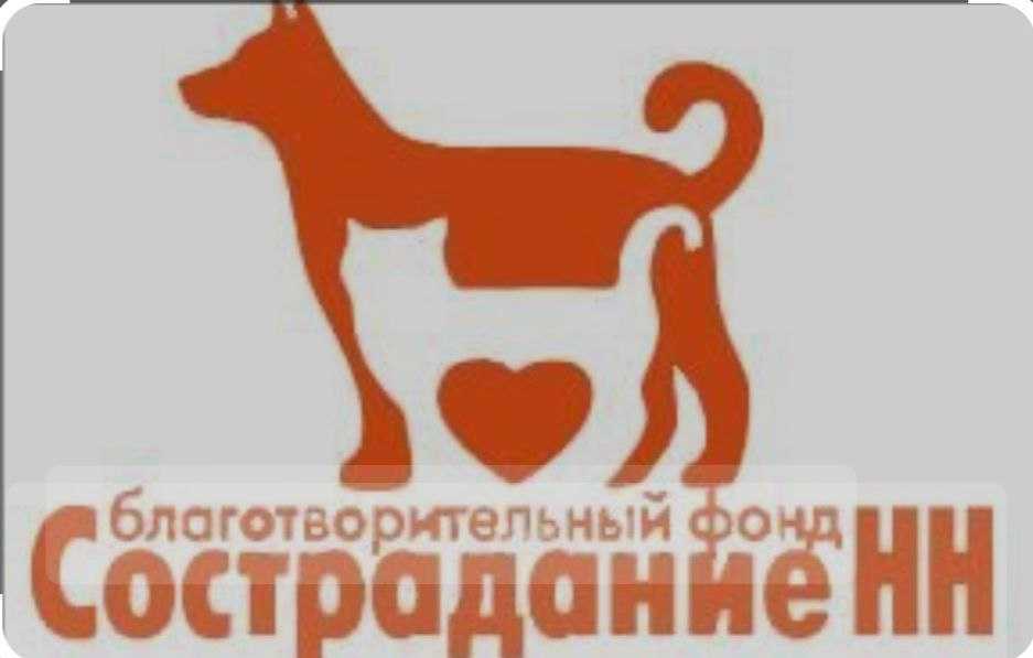 БЛАГОТВОРИТЕЛЬНЫЙ ФОНД 