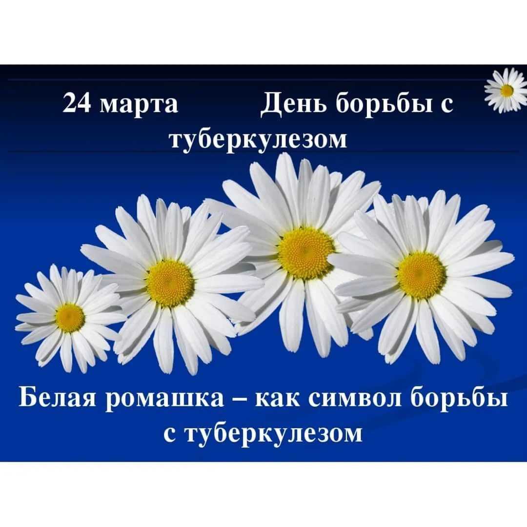 День борьбы с туберкулезом