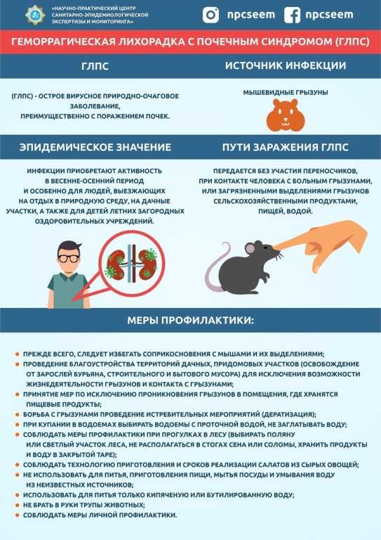 Информация о профилактике геморрагической лихорадке с почечным синдромом
