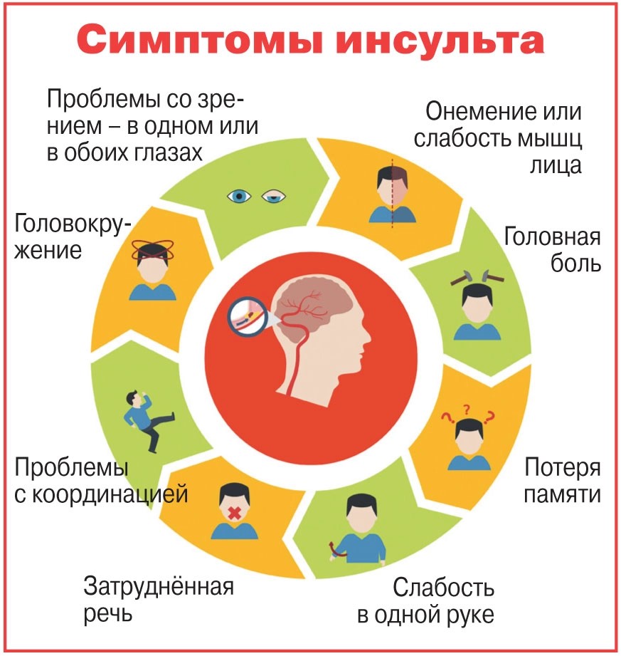 Школа здоровья «Жизнь после инсульта». Что такое инсульт. Механизм развития инсульта.