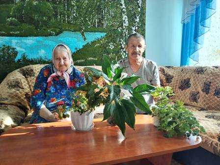 Трудотерапия «День растений».