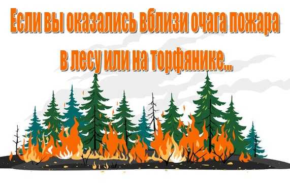 Если вы оказались вблизи очага пожара в лесу или на торфянике…