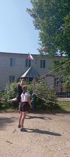 Соревнования по волейболу!