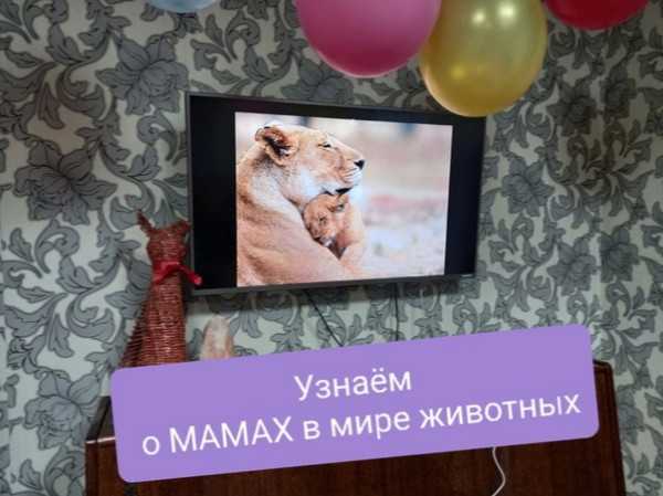 В мире животных тоже.