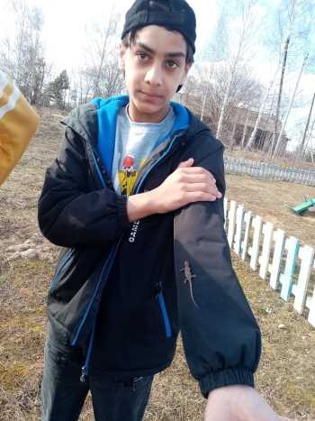 Прогулка на природе