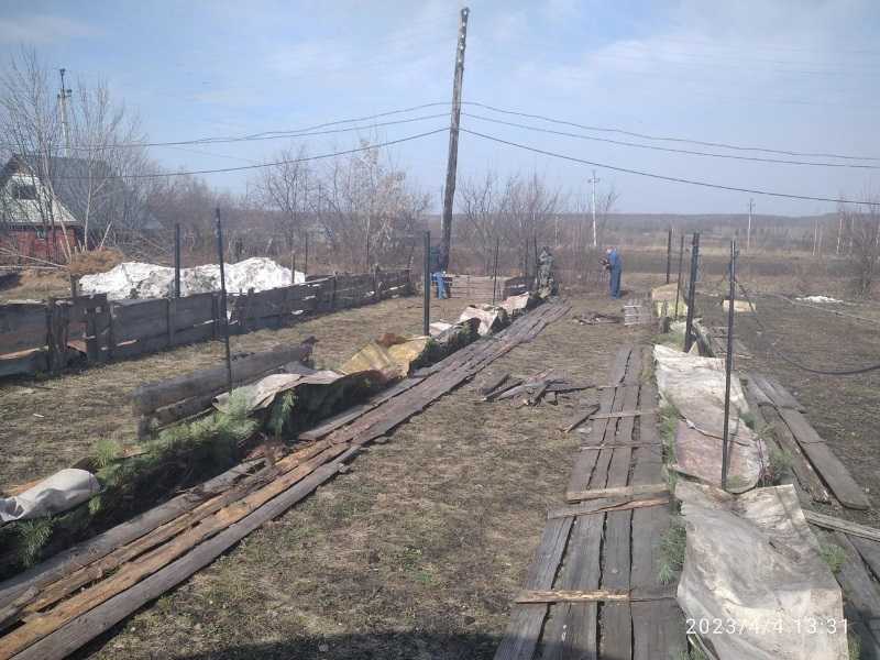 Уборка на винограднике
