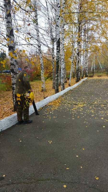 Осенний листопад.