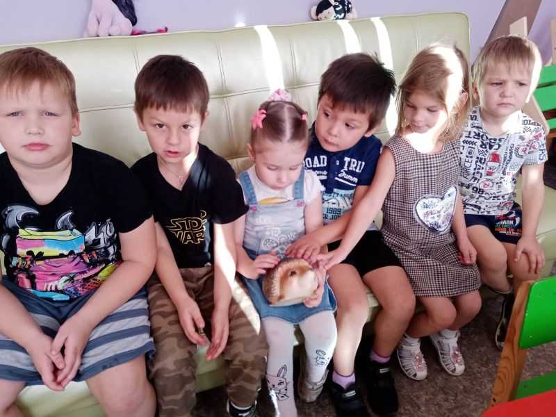 Занятие Лесной дом в отделении дневного пребывания ГБУ