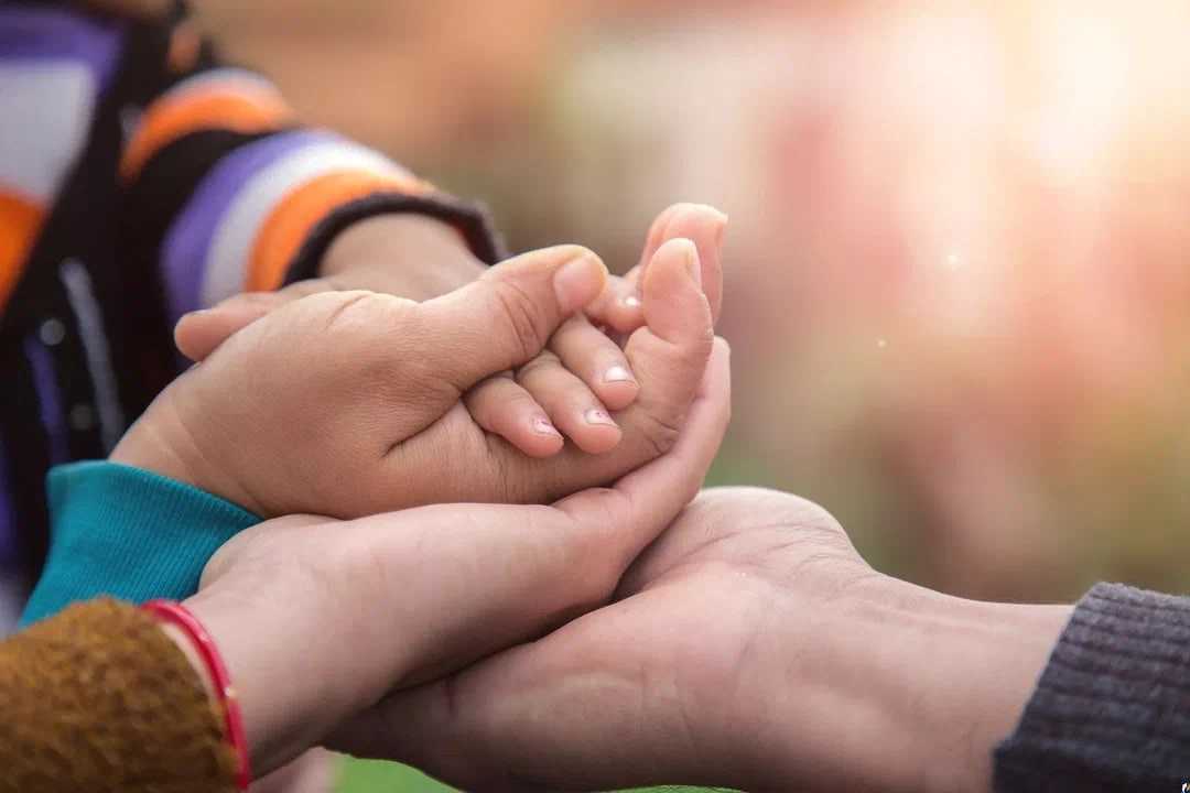 Начинаются занятия в Школе замещающих родителей