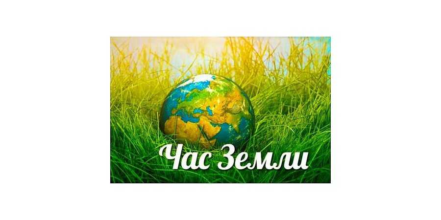 Подведены итоги Областной акции 