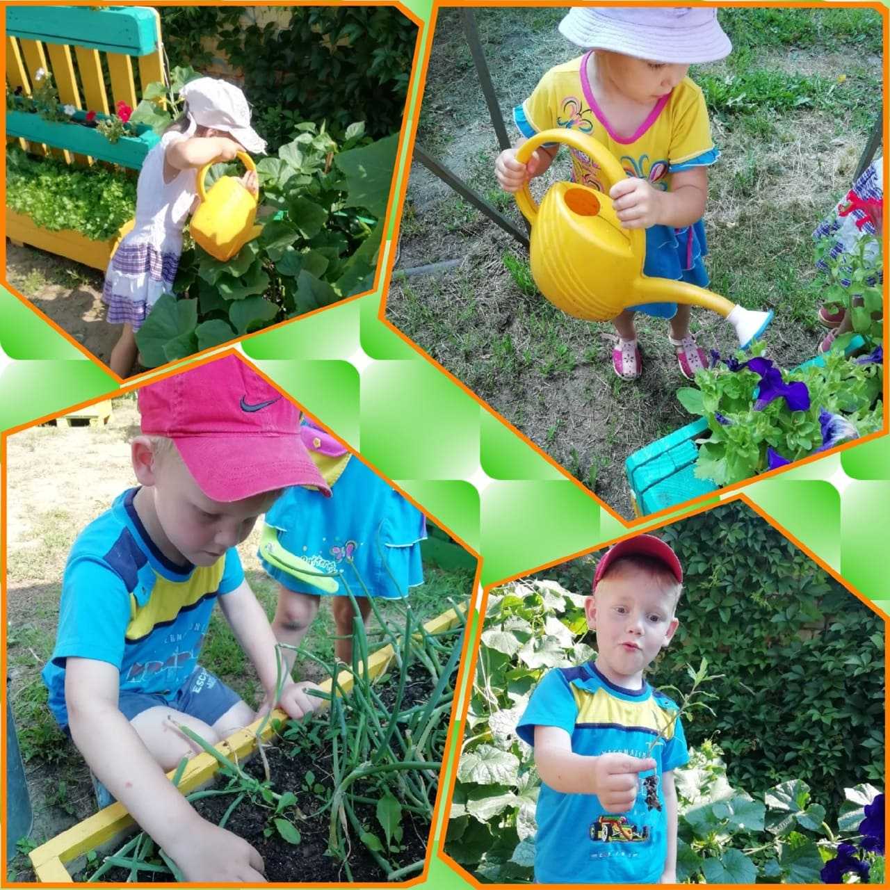 САД-ОГОРОД