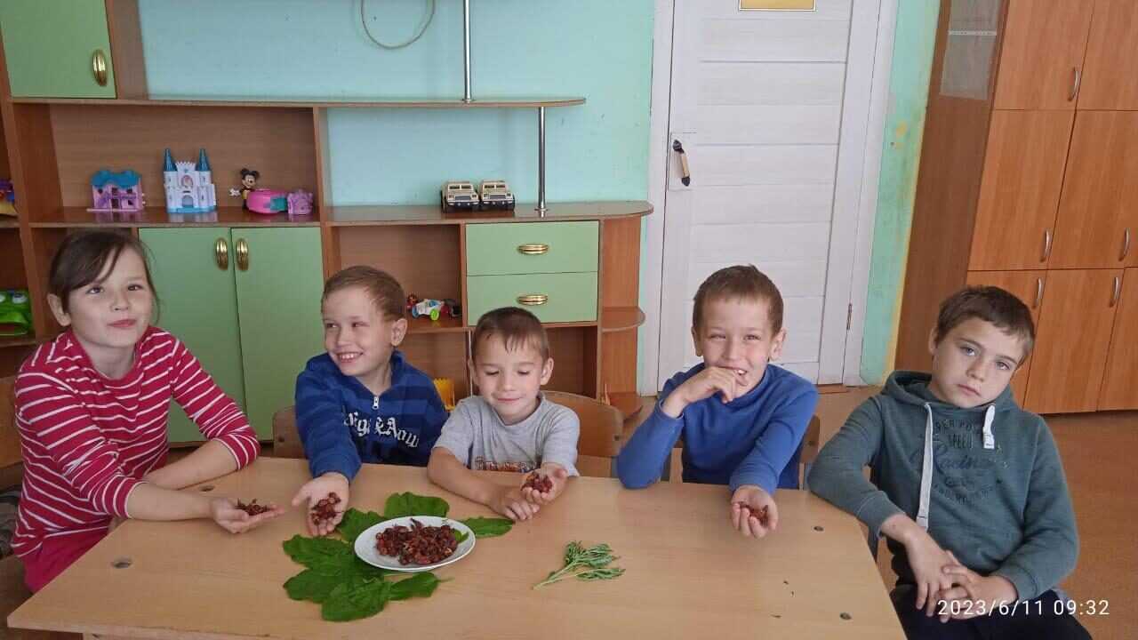 Занятие по социально-реабилитационной программе 