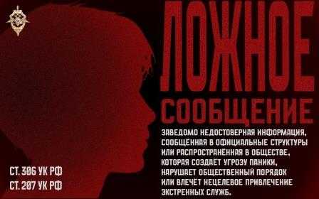 Сваттинг и псевдоскулшутинг
