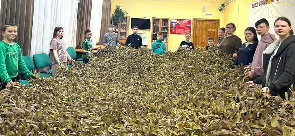 Маскировочные сети для СВО