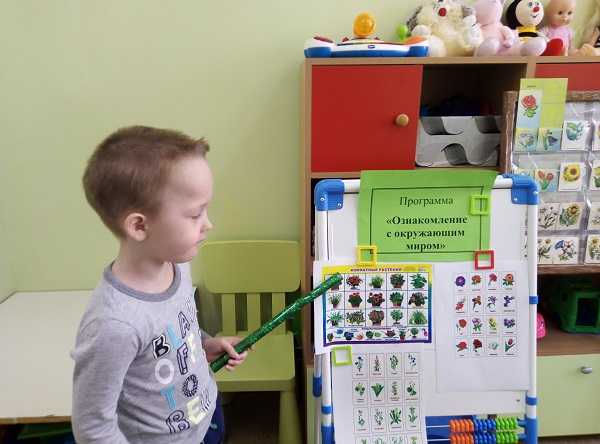 Знакомство с комнатными растениями