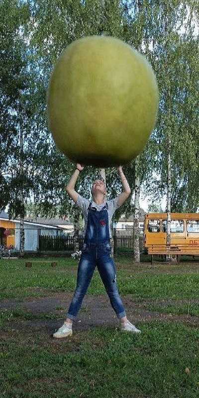 Детские фантазии фотосессии.