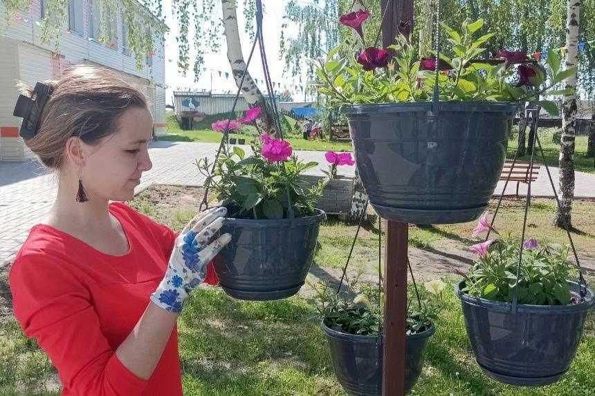Новые цветники и клумбы