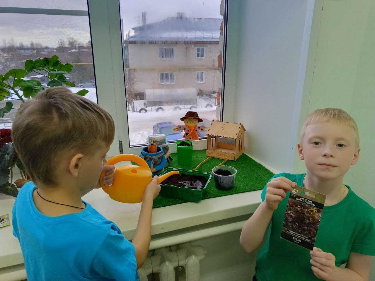 Огород на подоконнике 