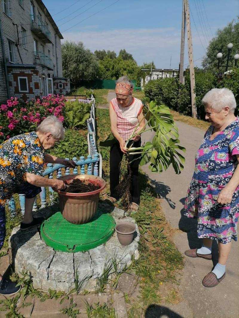 Гарденотерапия