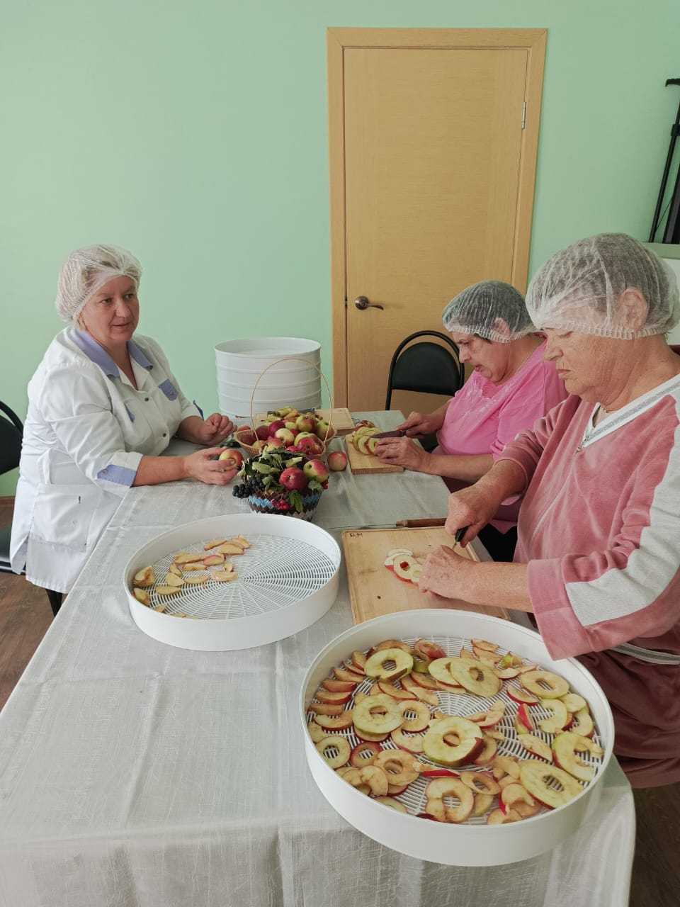 Сбор яблок