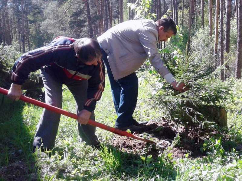 Состоялась акция «Озеленим наш лес!»