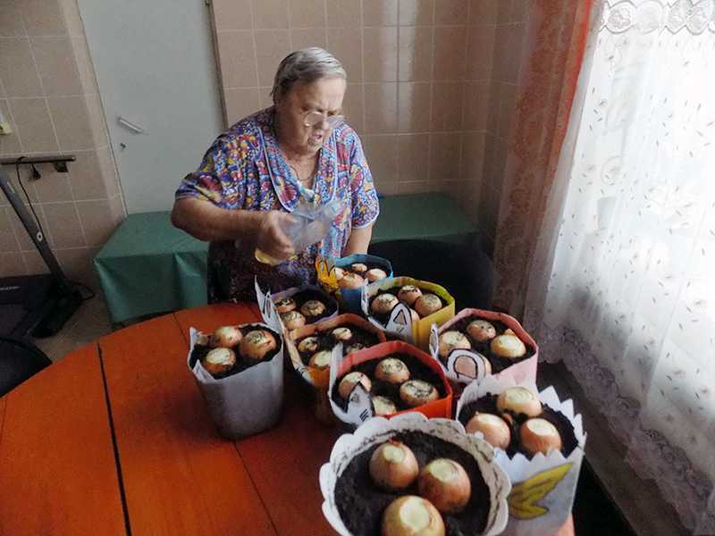 Кружок «Наш огород»